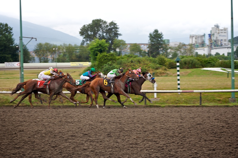 2009-08-15 at the races - 7 2009-08-15 at the races - 7