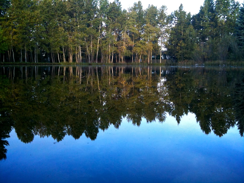 2009-09-09 calmness 2009-09-09 calmness