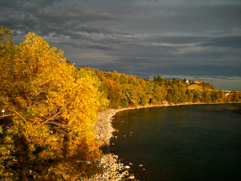 2009-09-19 yellow
