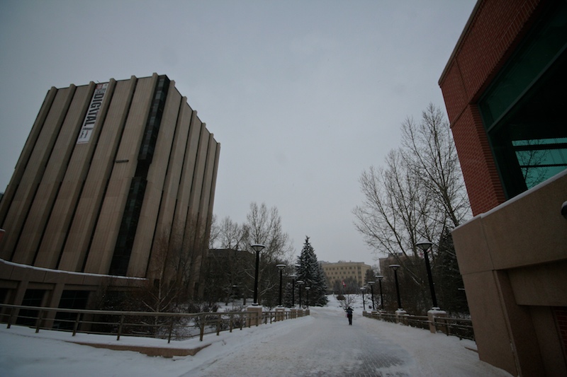 2010-01-05 brisk walk