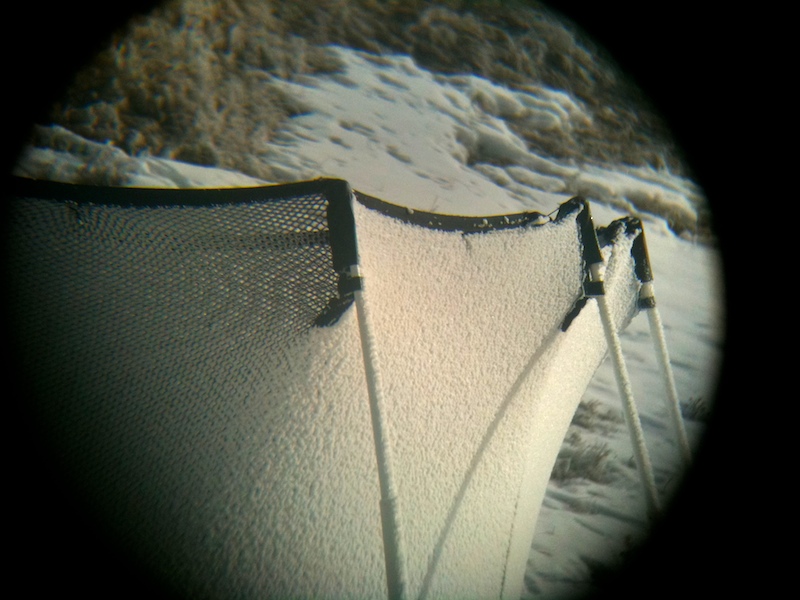 2010-02-14 binocular