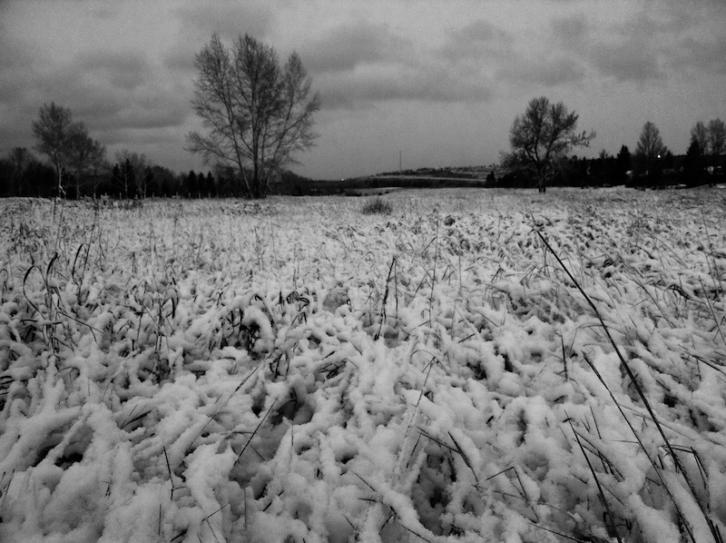 2010-10-25 - morning snow.jpg 2010-10-25 - morning snow.jpg