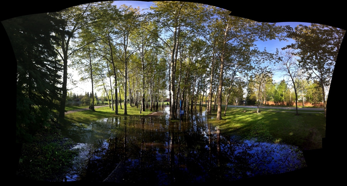 20110530-082842.jpg