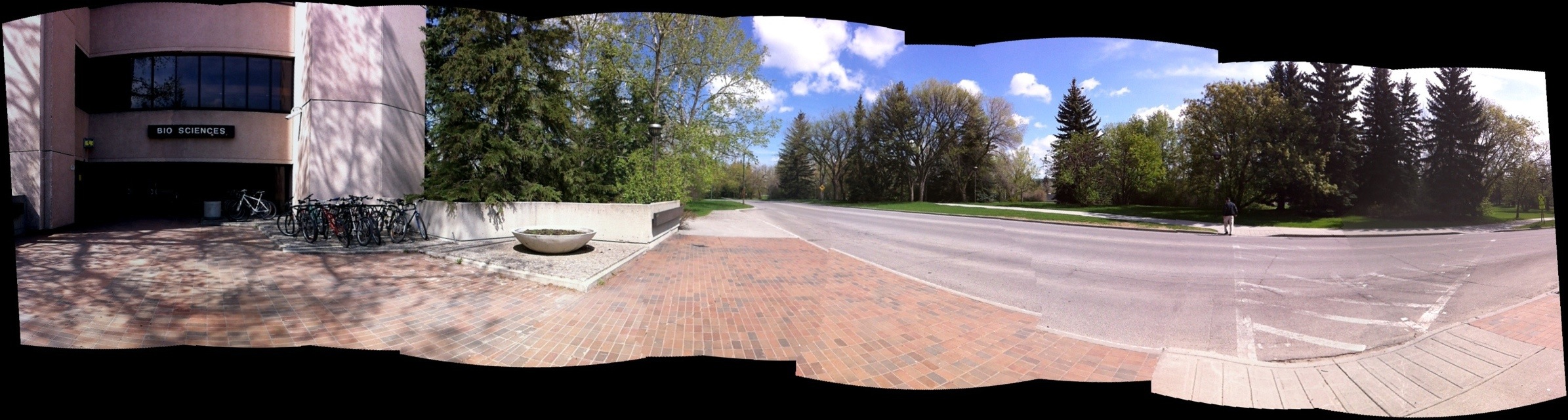 20110530-110124.jpg