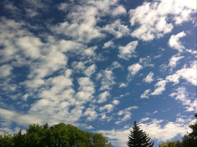 20110621-091001.jpg