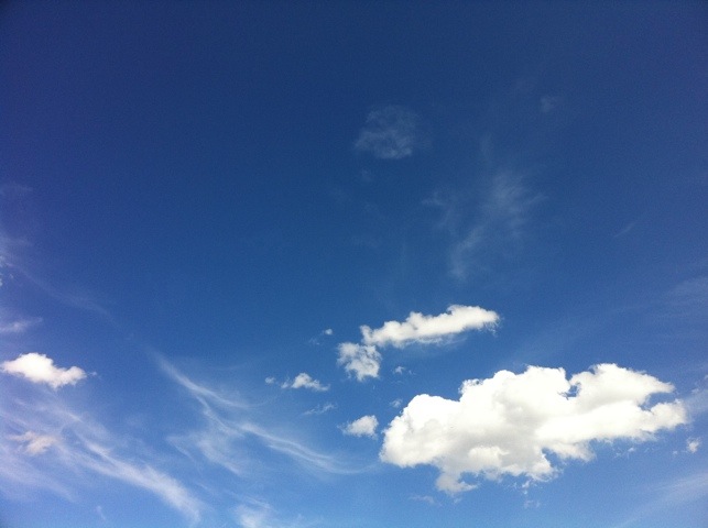 20110717-042908.jpg