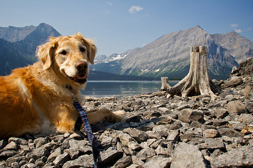 mountaineer