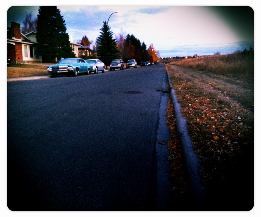 20111025-083524.jpg