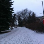 20120206-081604.jpg