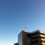 20120208-084632.jpg