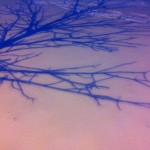 20120214-071905.jpg