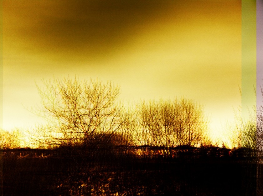 20120228-150944.jpg