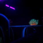 20120330-212109.jpg
