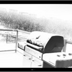 20120412-180323.jpg