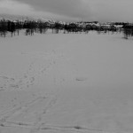 20120413-072634.jpg
