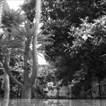 20120417-131903.jpg