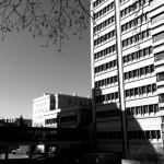 20120419-103618.jpg