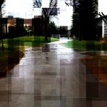 20120426-125429.jpg