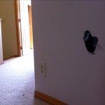20120428-113559.jpg