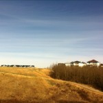 20120428-171205.jpg