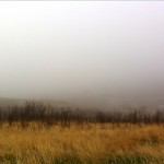 20120430-081835.jpg