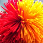 20120507-135342.jpg