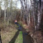 20120513-174850.jpg