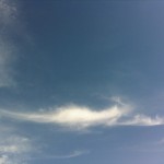 20120514-171158.jpg