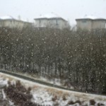clichéd photo of falling snow, #328